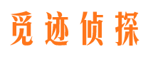 平安市侦探调查公司